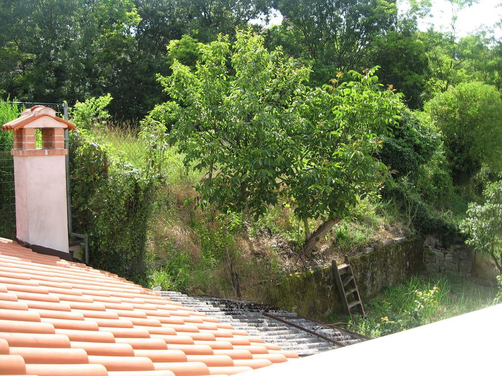 Apartments Alen Pazin Exterior foto