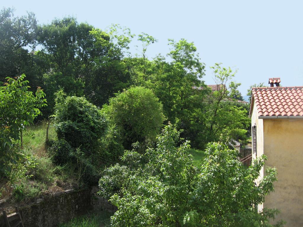 Apartments Alen Pazin Exterior foto